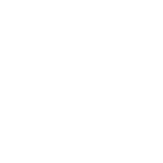 US SOY